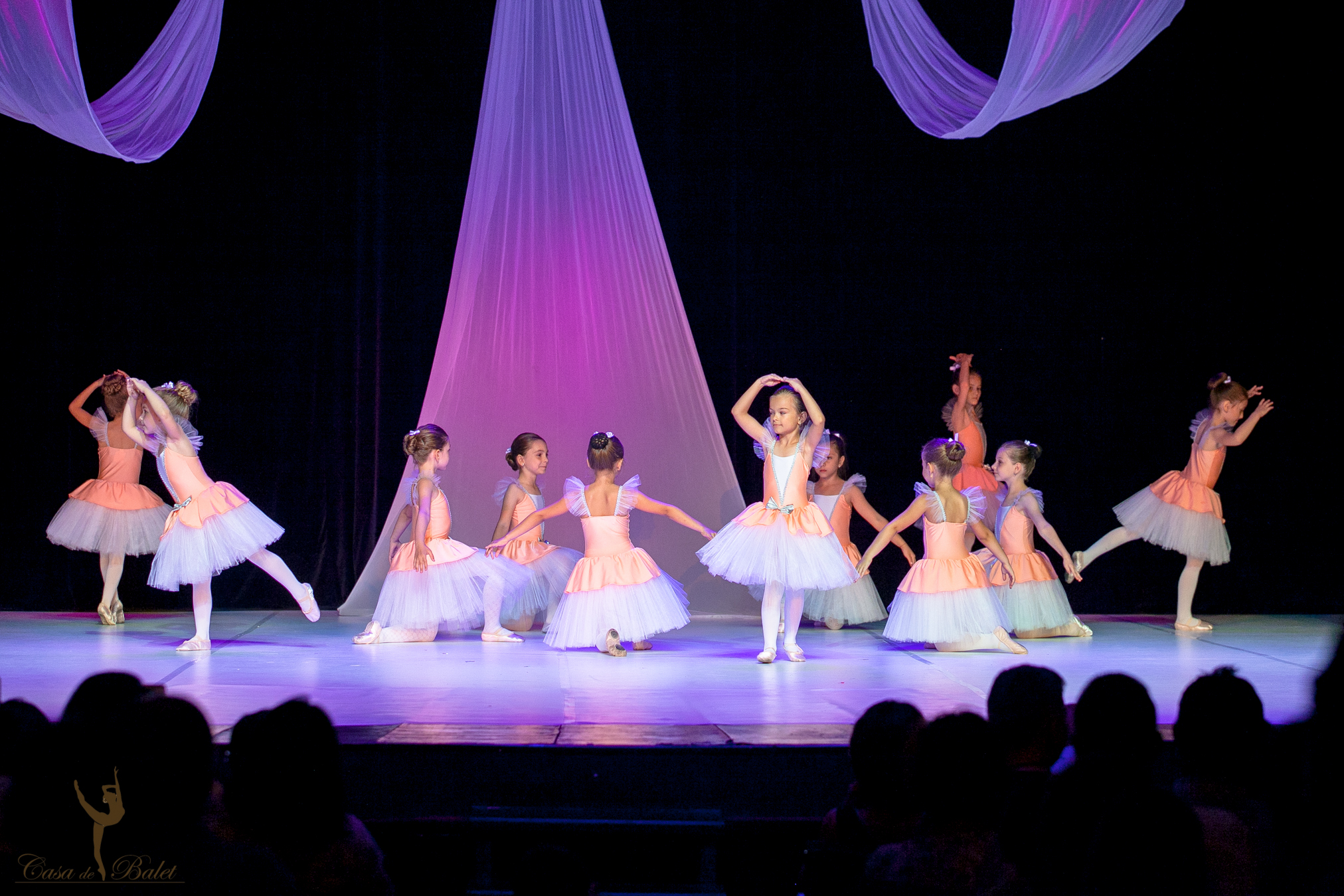 Casa de Balet Spectacol 12iun2015 ora 19-103