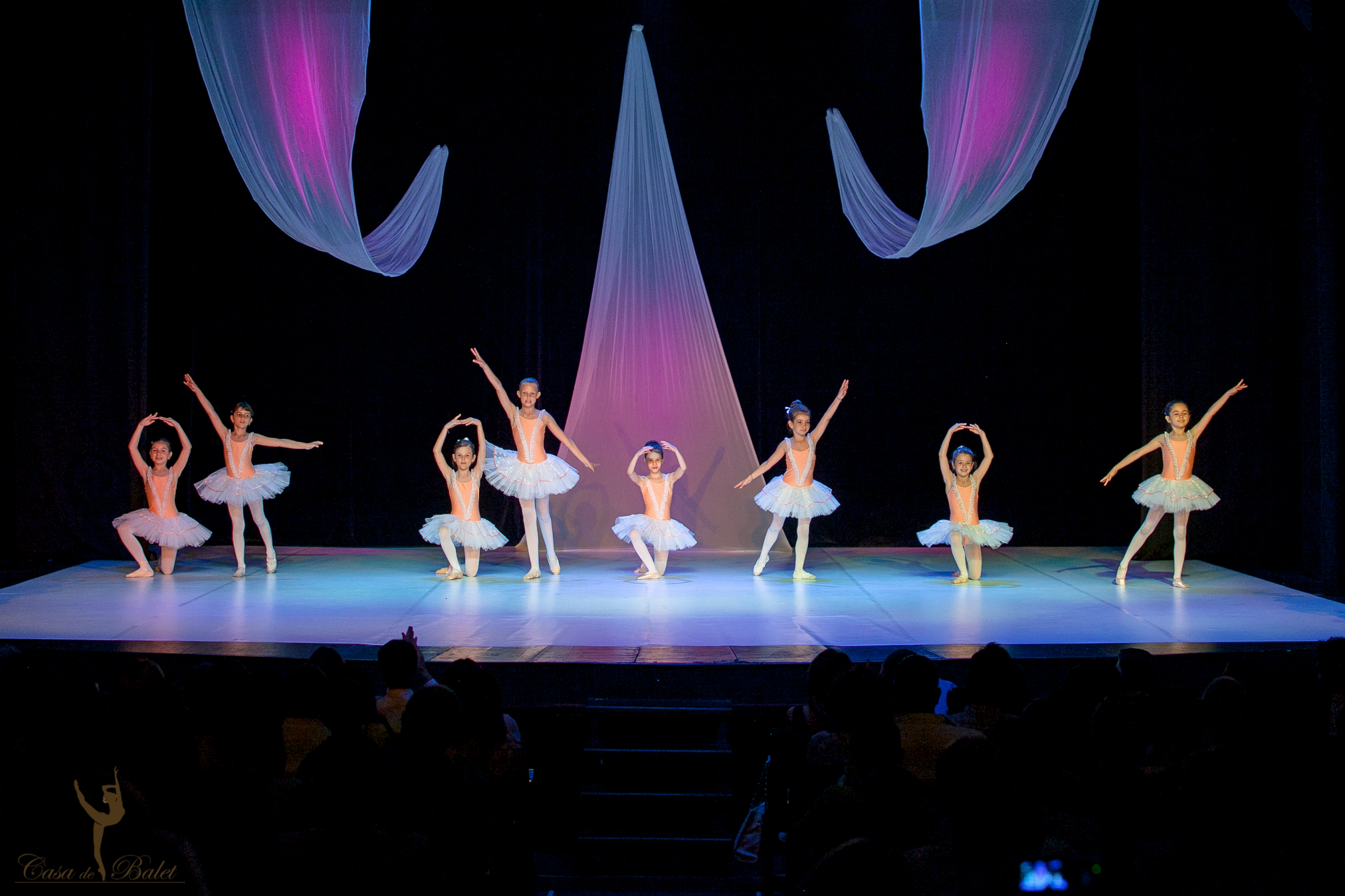 Casa de Balet Spectacol 12iun2015 ora 19-145