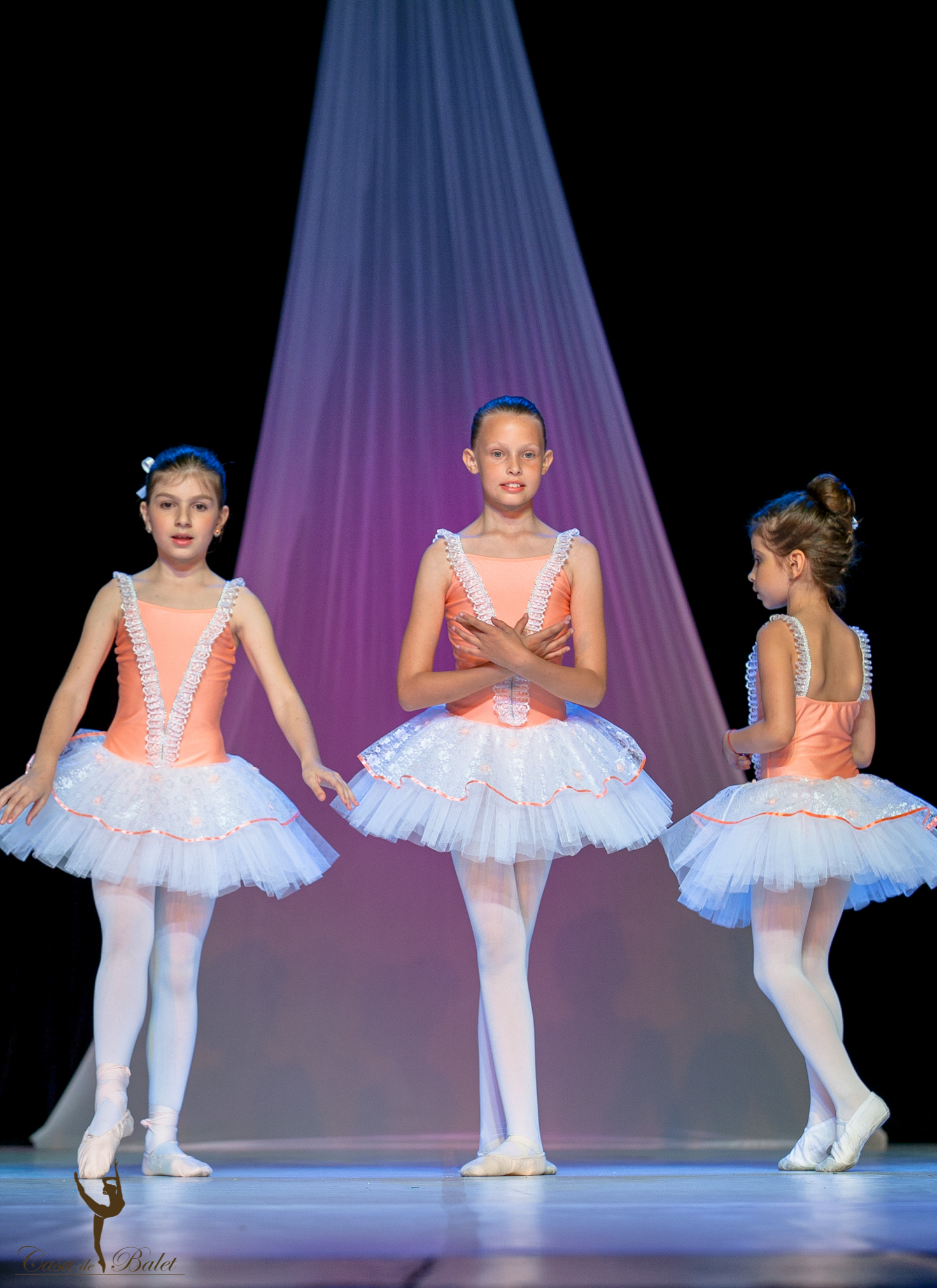 Casa de Balet Spectacol 12iun2015 ora 19-261
