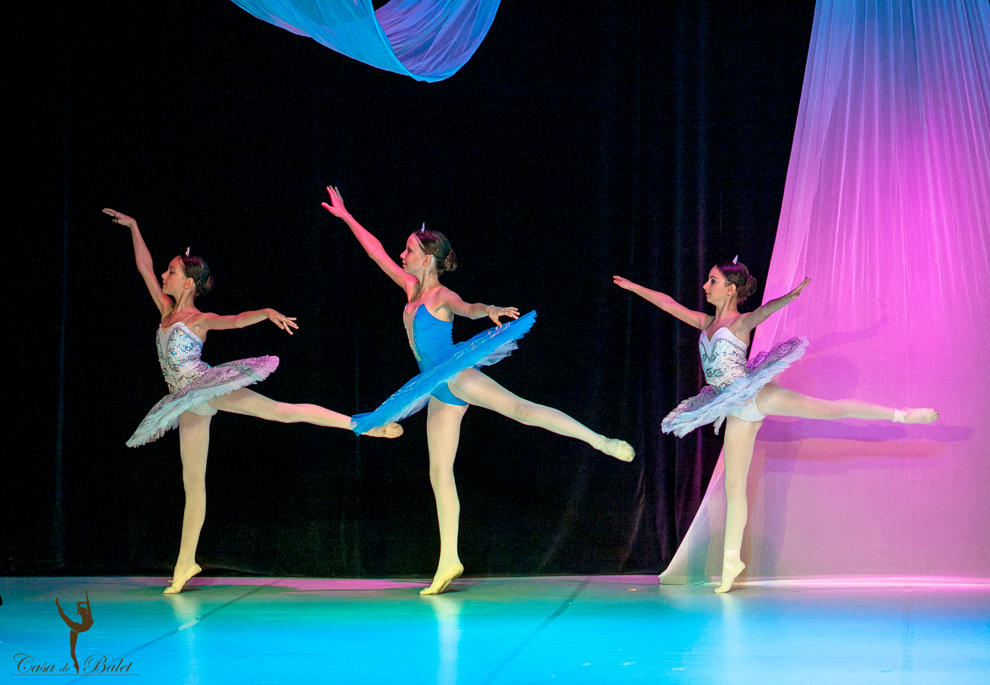 Casa de Balet Spectacol 12iun2015 ora 19-64