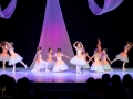 Casa de Balet Spectacol 12iun2015 ora 19-103